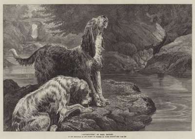 Otter-Hounds by Basil Bradley